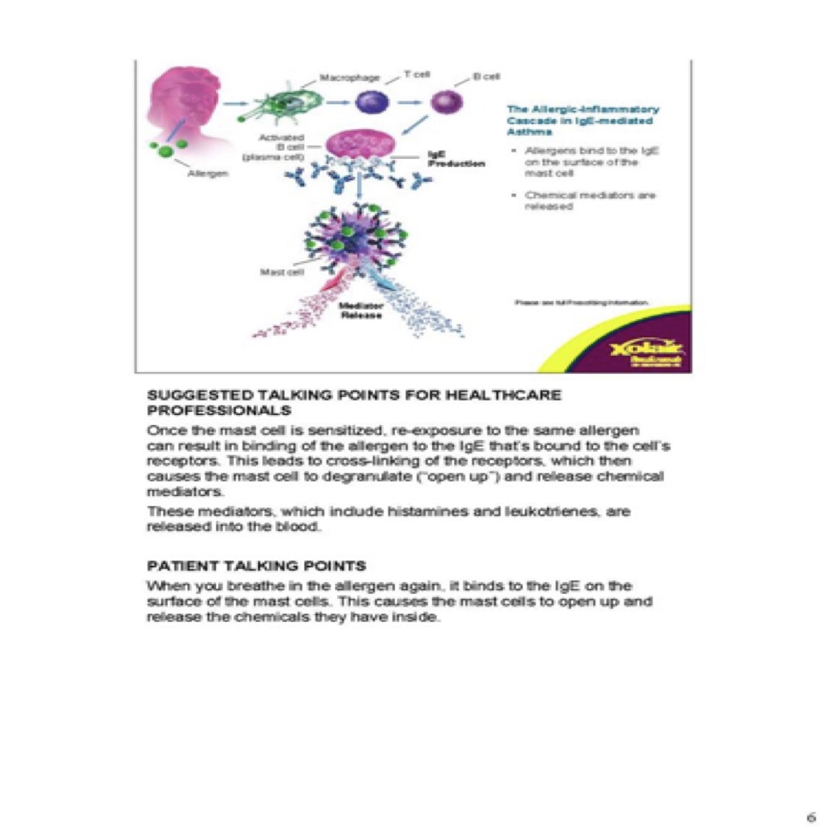 This flip-chart presentation helped nurse educators explain a new type of allergy medicine to colleagues and patients.
(Page 6 of 11)